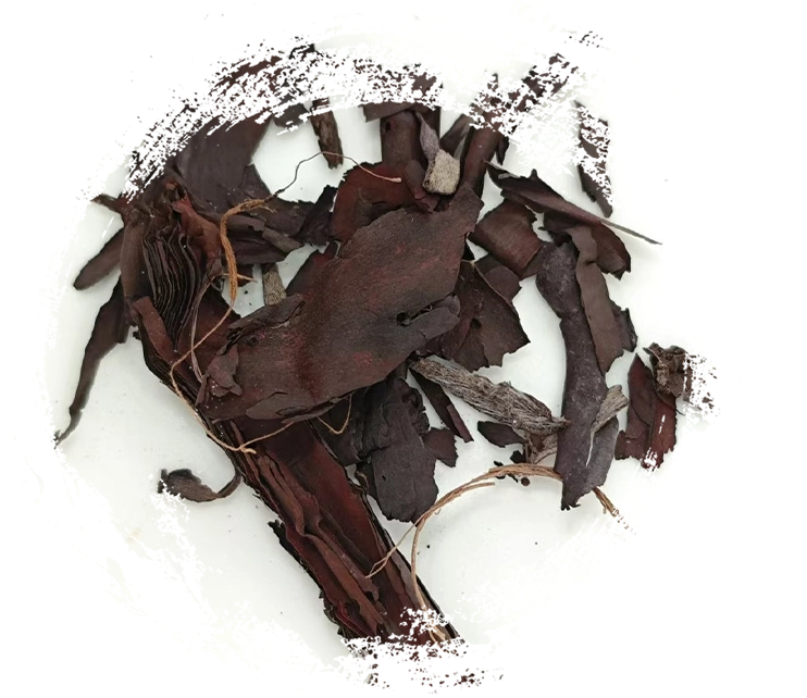 한약의 작용 원리: 원리, 메커니즘 및 실제 적용