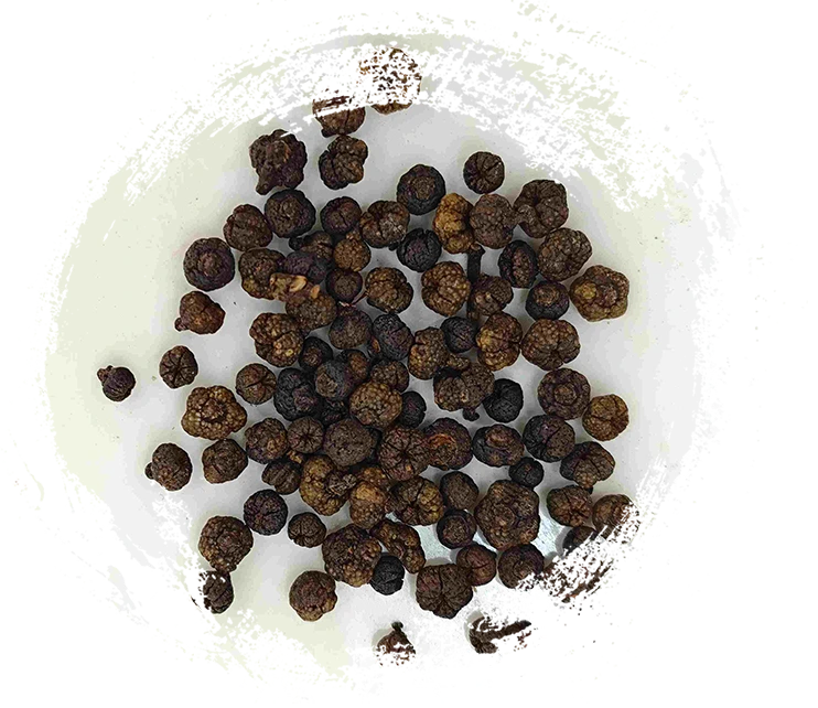 가공 Evodia Fruit (Zhì wúzhūyú)