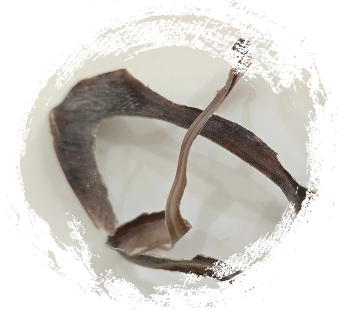 워터 버팔로 혼