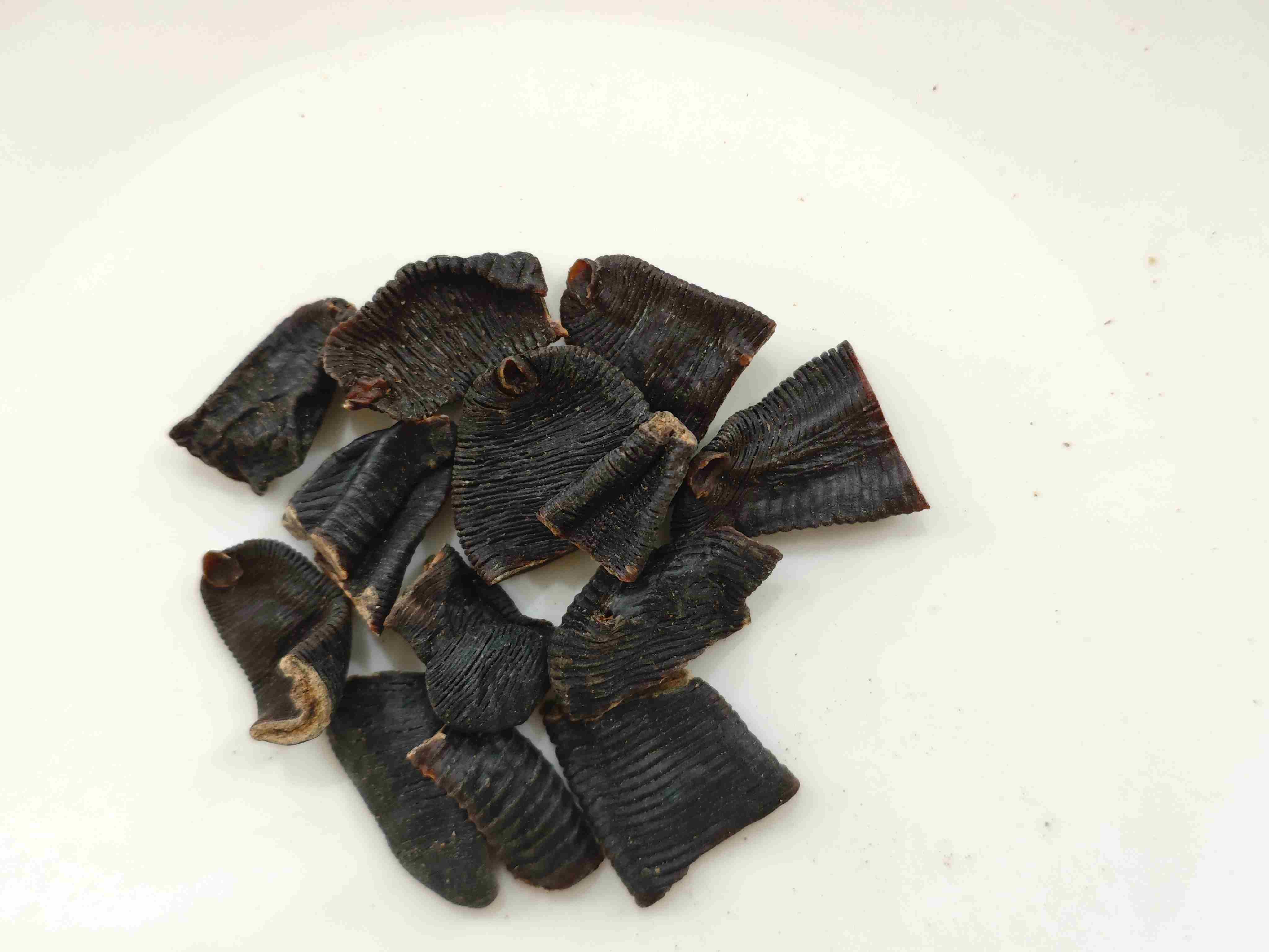 거머리 (shuǐzhì)