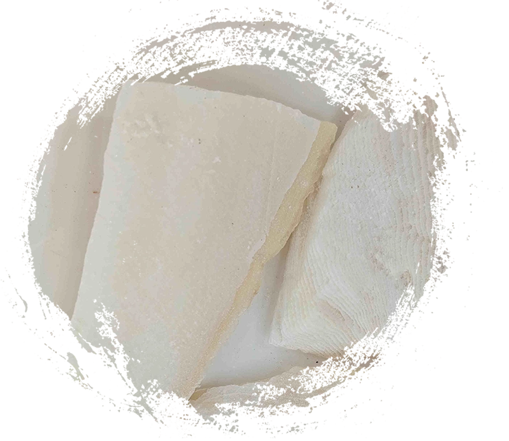 오징지 (h (ipiāoxiāo)