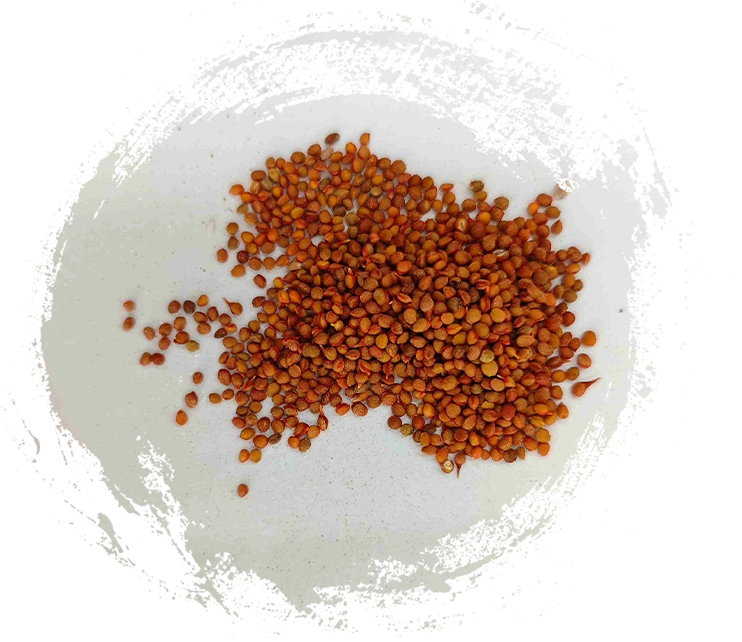 고품질의 전통 중국 광물 의학을 구매할 때 어떤 특징을 찾아야 할까요?