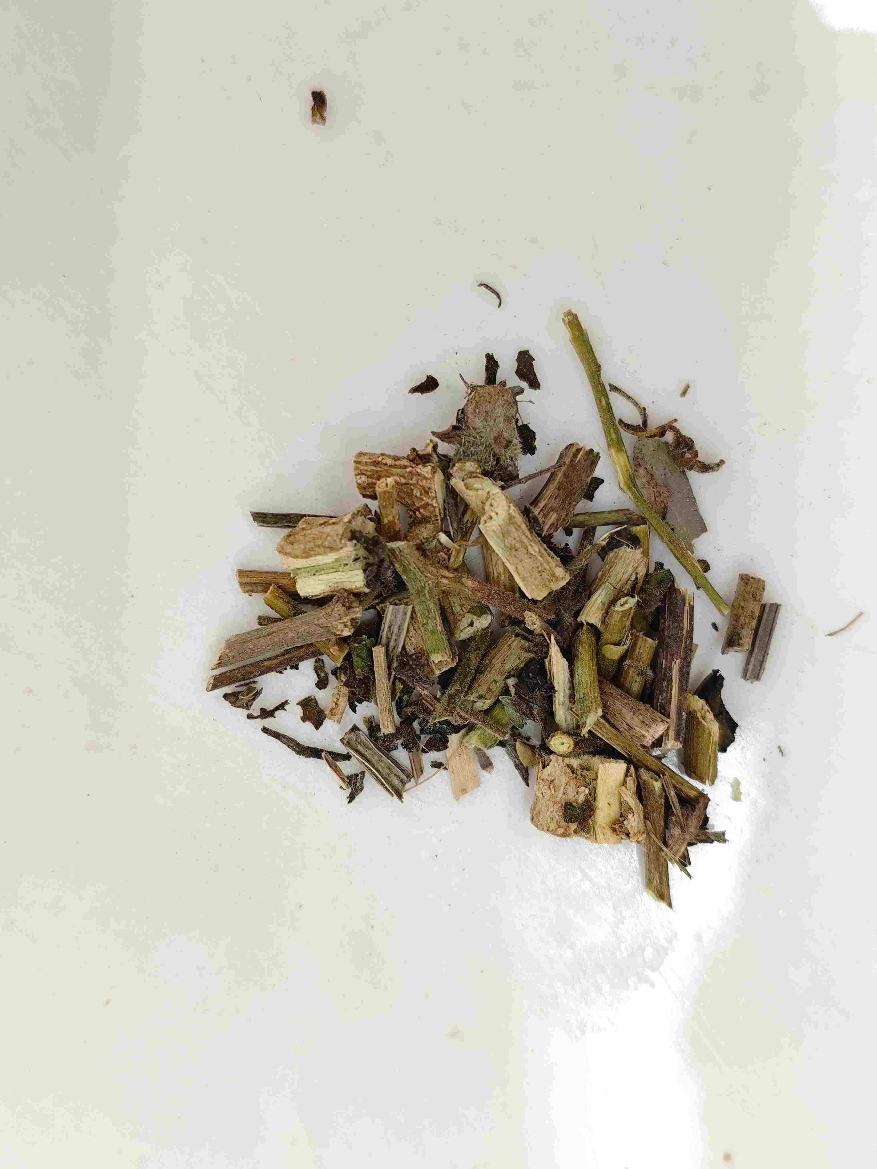 흰 버드 (B&aacute;iyīng)