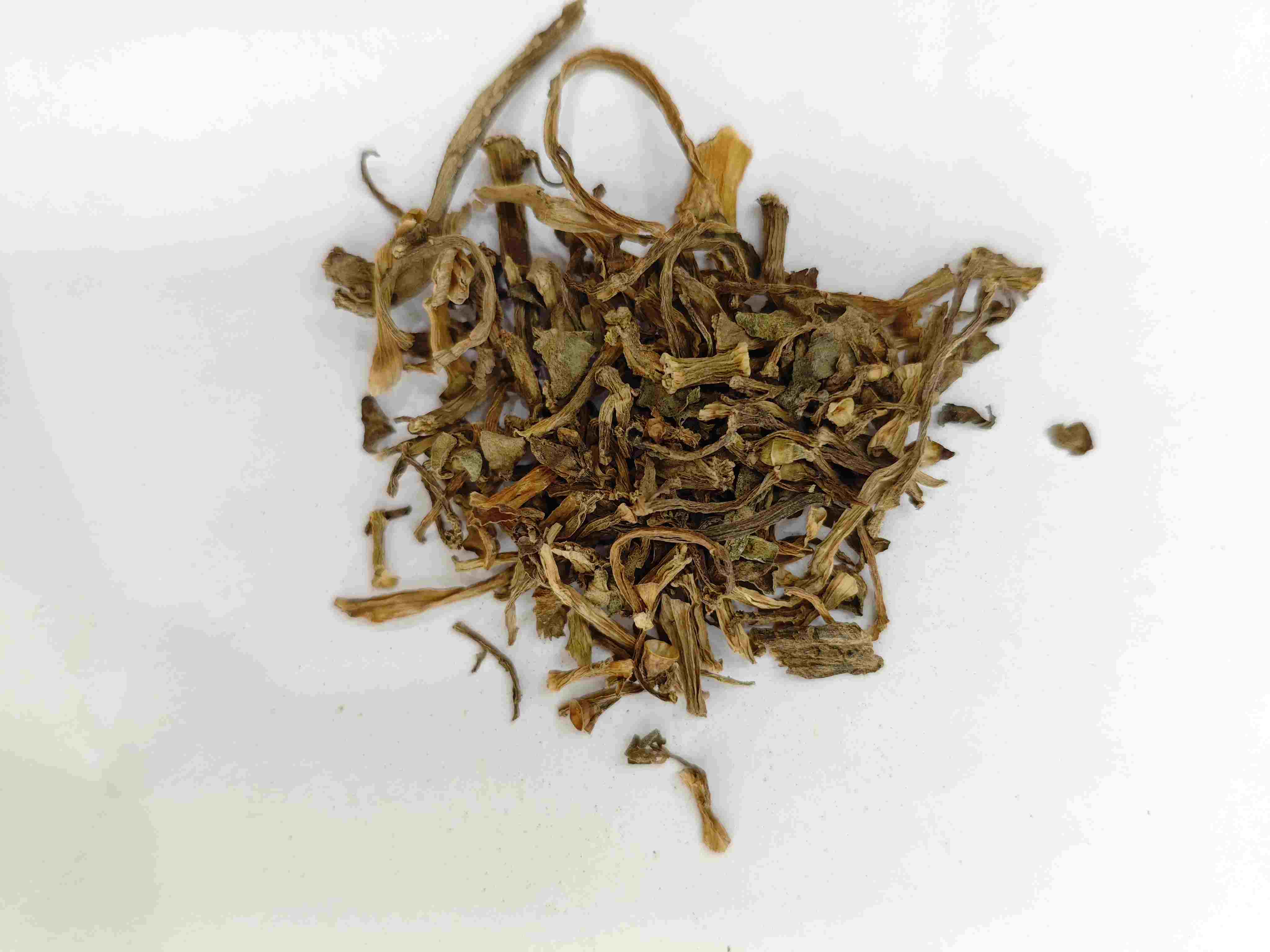 Portulaca (m (chǐxiàn)