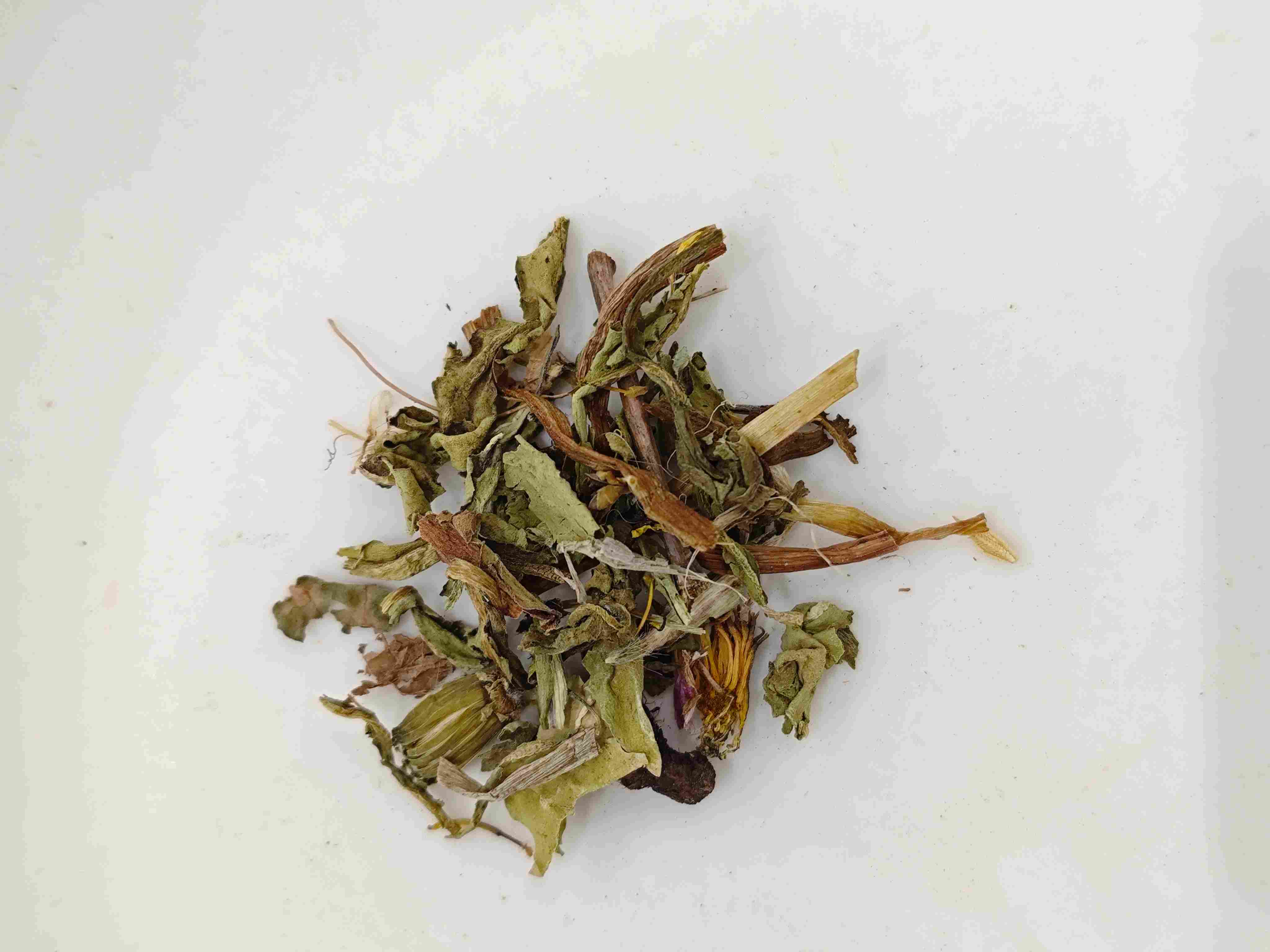 민들레 (p&uacute;gōngyīng)