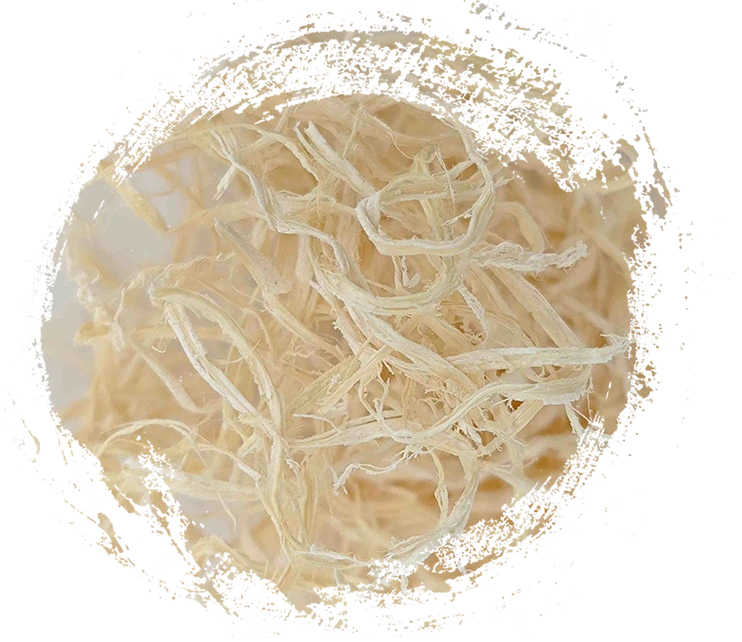 대나무 피스 (Zhú Rú)