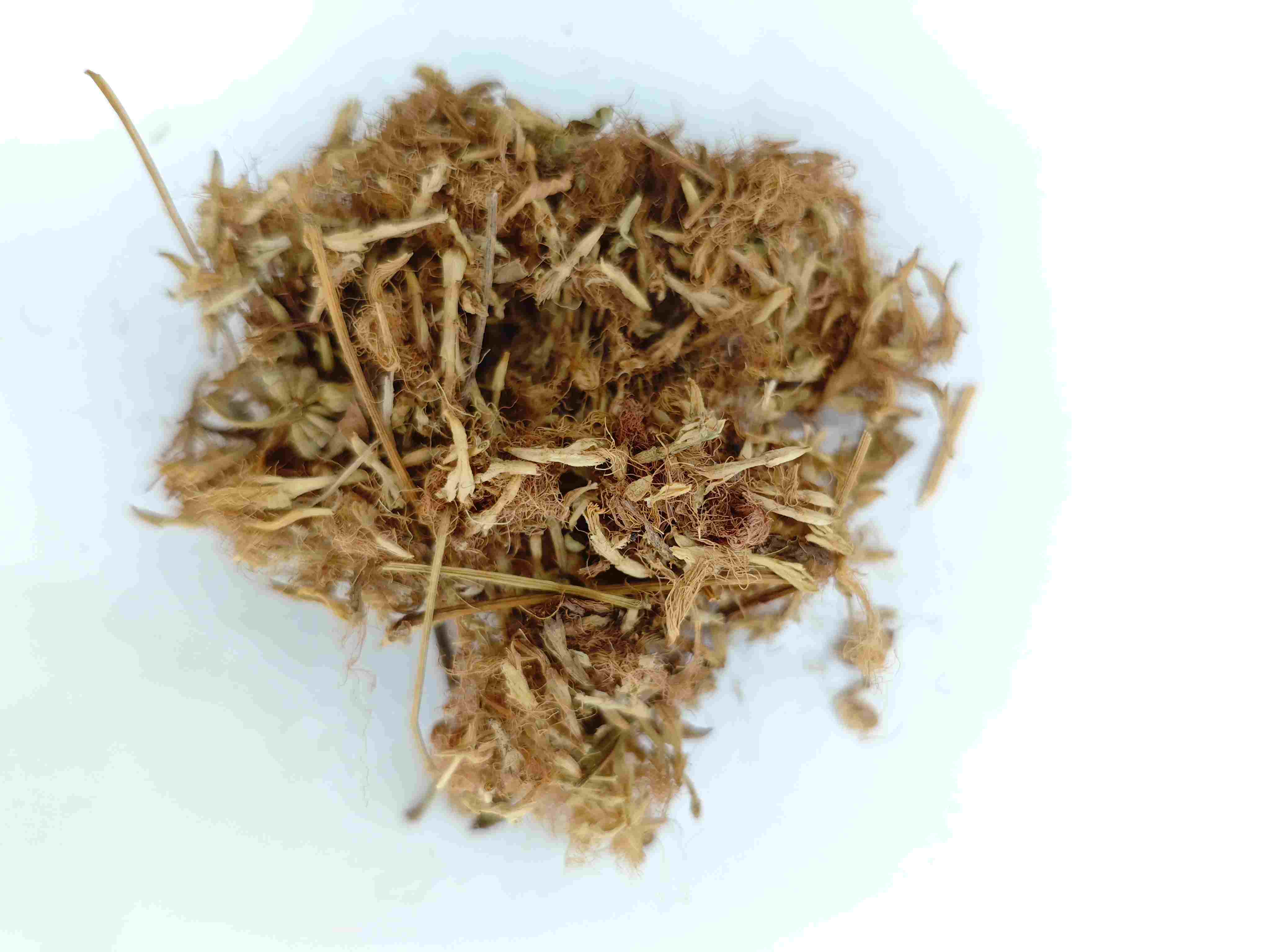 실크 나무 꽃 (H&eacute;huān Huā)