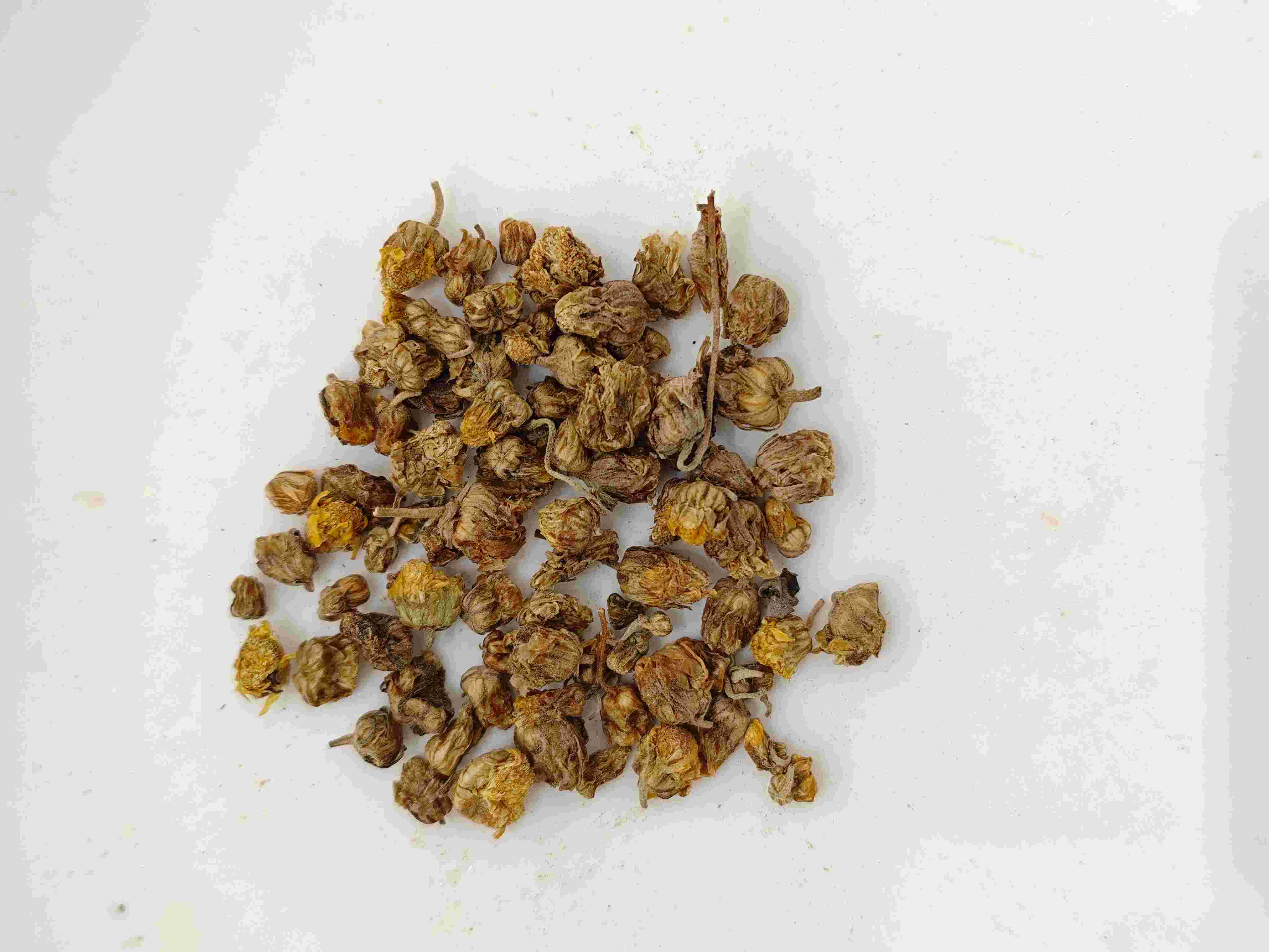 야생의 국화 (yě j&uacute; huā)