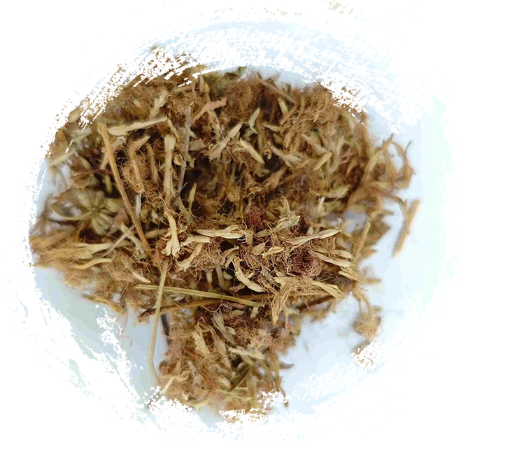 실크 나무 꽃 (Héhuān Huā)