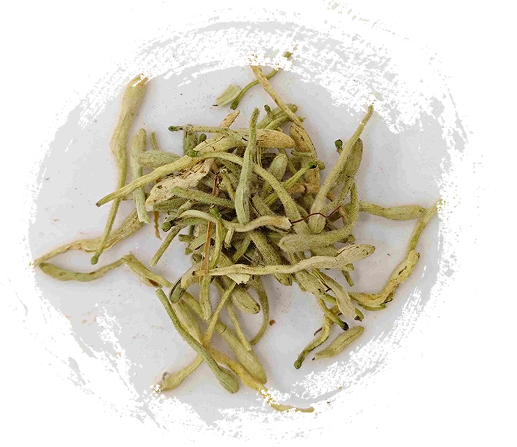 허니 꽃 (jīnyínhuā)