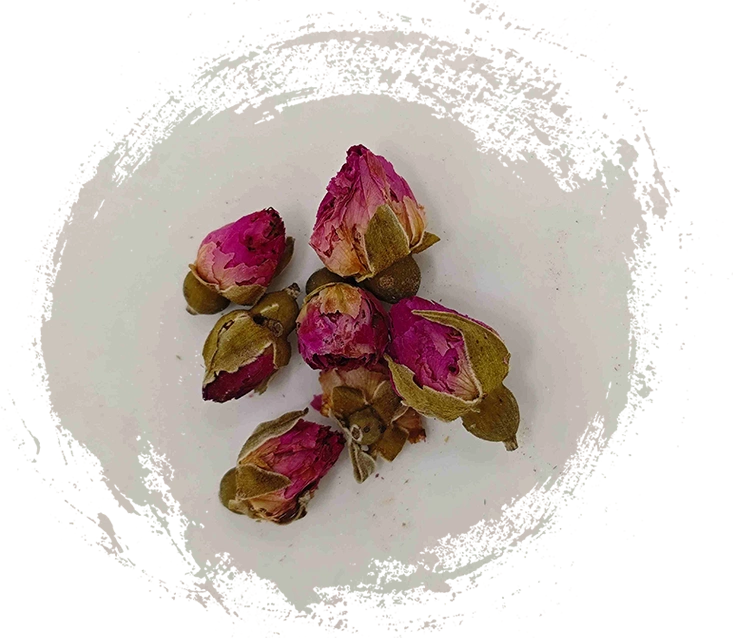 로즈 플라워 (Méiguī Huā)