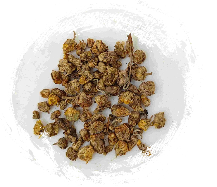 야생의 국화 (yě jú huā)