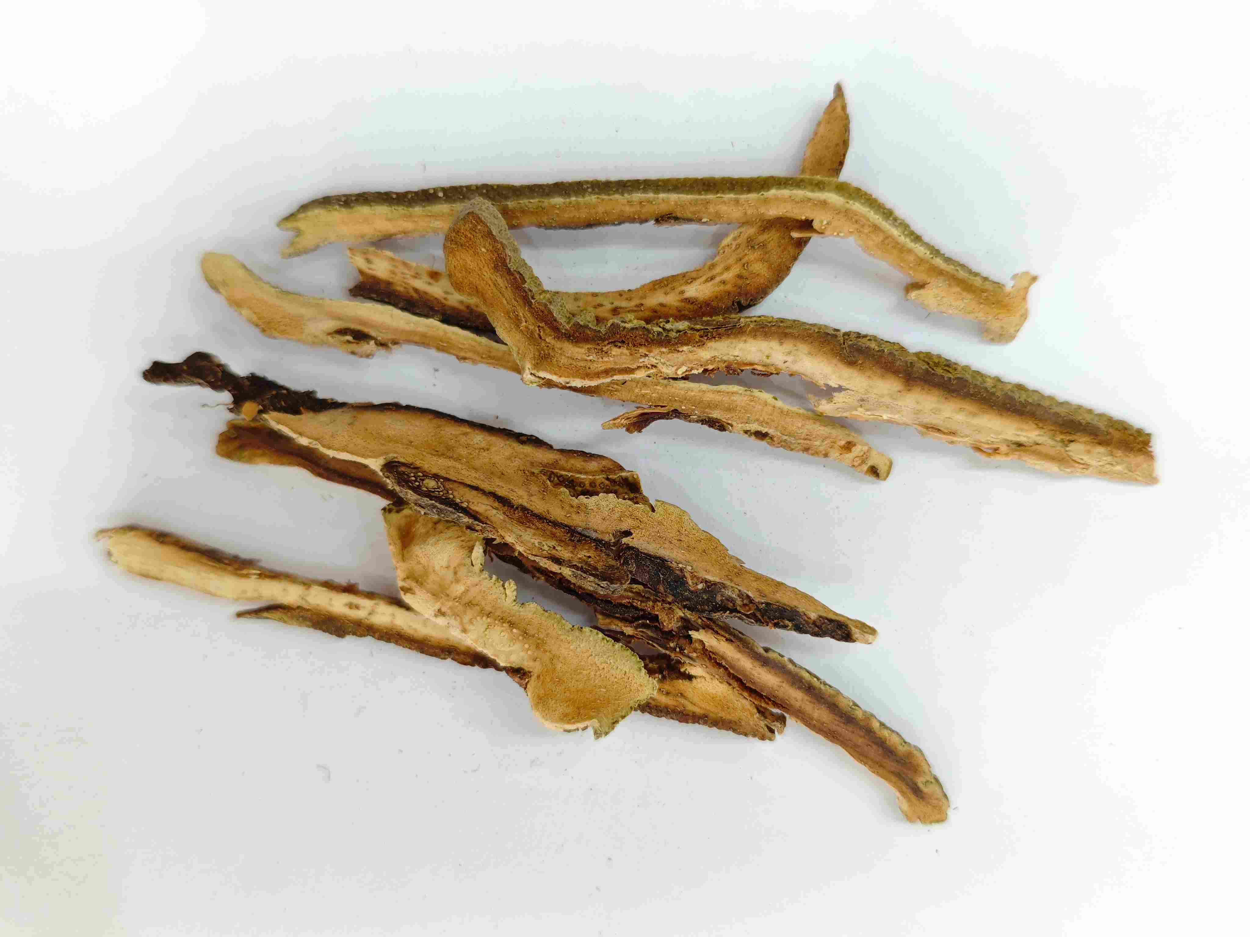 귤 레드 필 (j&uacute;h&oacute;ng)