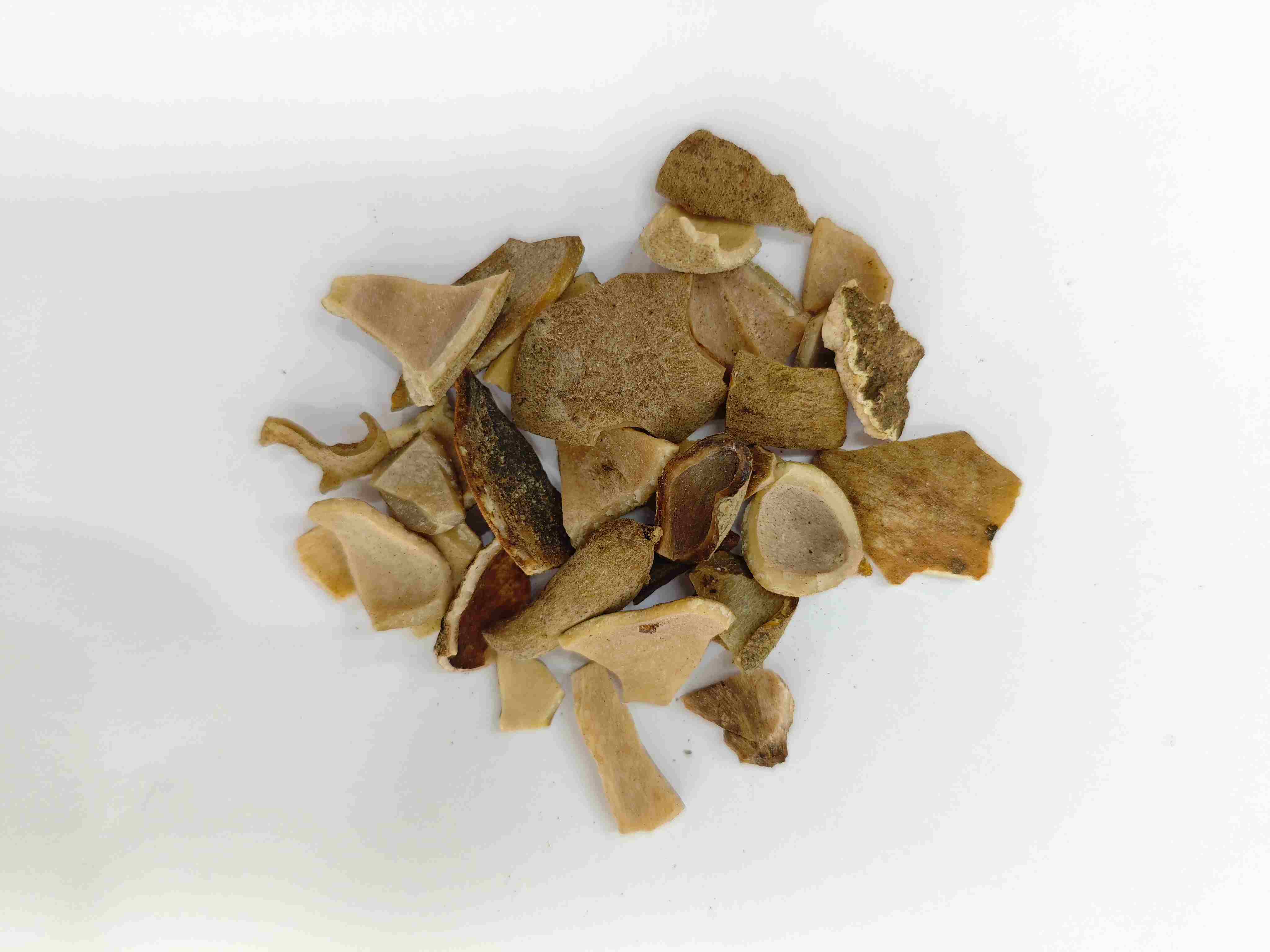 중국 담즙 (WèBèizǐ)