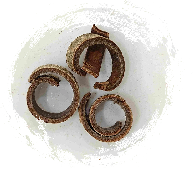 매그놀리아 껍질 (Hòupò)