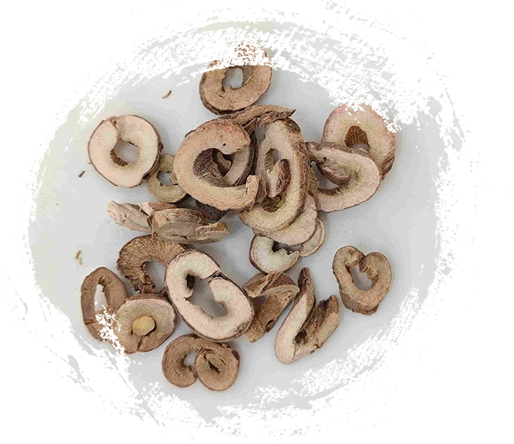 나무 모란 나무 껍질 (m bardān pí)