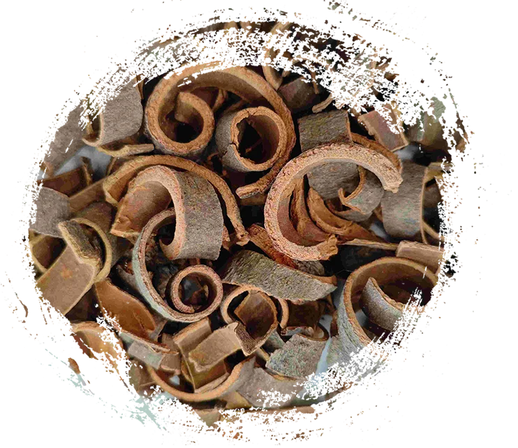 TCM 허브 식물의 주요 치유 속성 및 특징