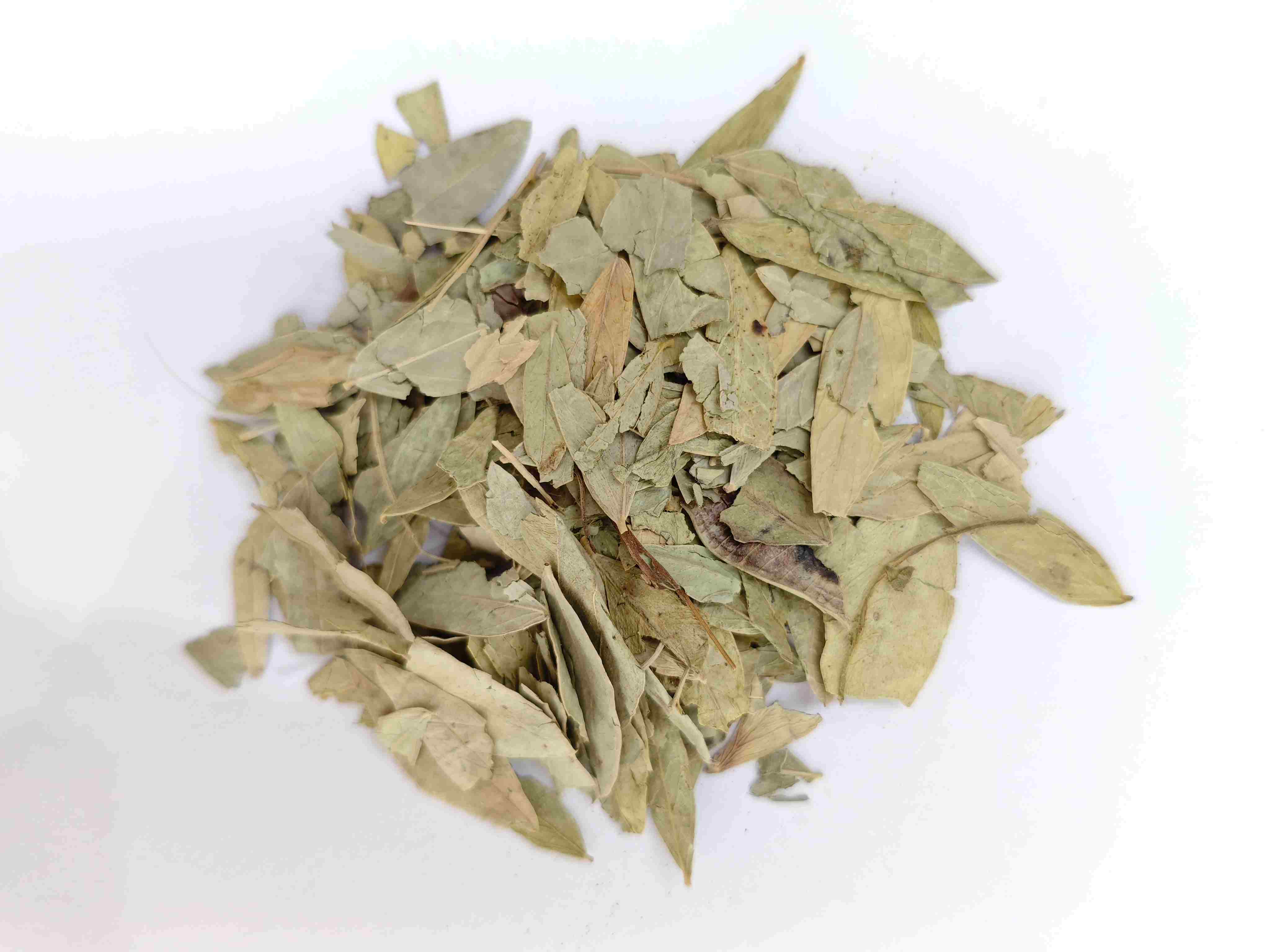 세나 리프 (fānxi&egrave; y&egrave;)