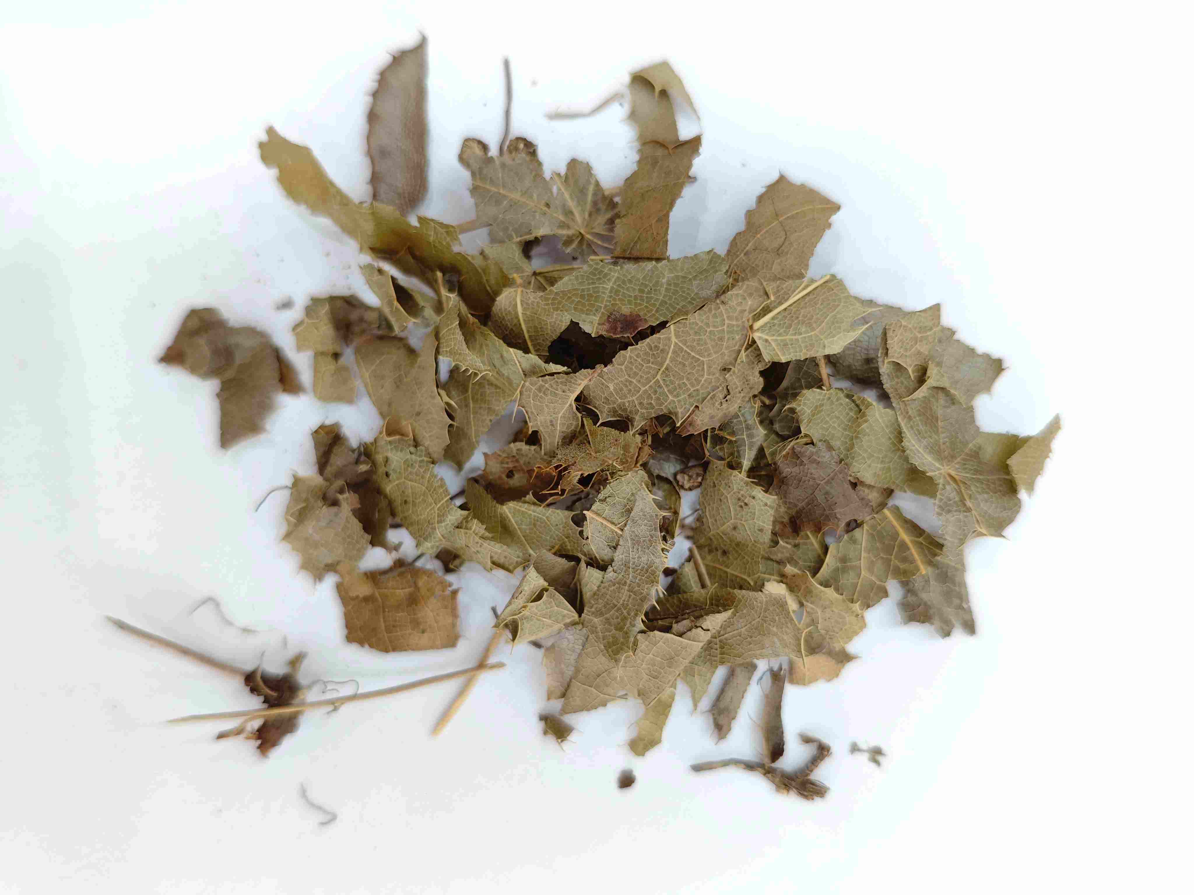 Epimedium (Y&iacute;ny&aacute;ng Hu&ograve;)