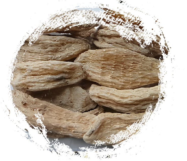 Hubei의 Shennongjia Gastrodia Elata