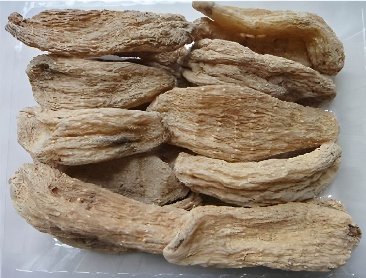 Hubei의 Shennongjia Gastrodia Elata